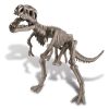 Dinosaurier Ausgrabung - Tyrannosaurus Rex4