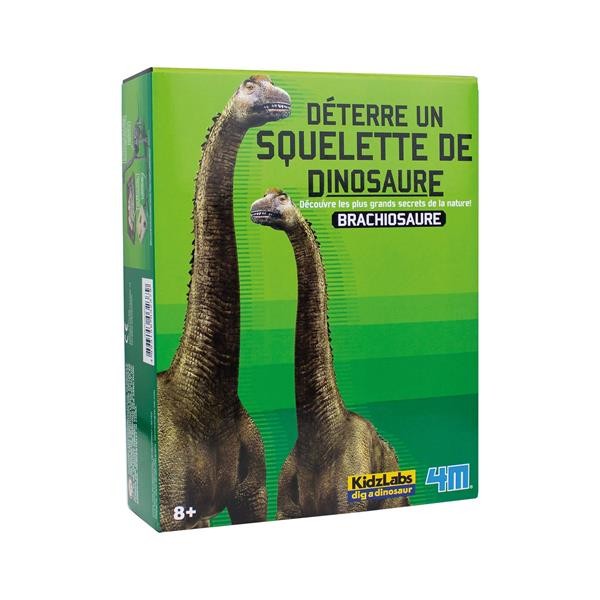 Dinosaurier Ausgrabung - Brachiosaurus